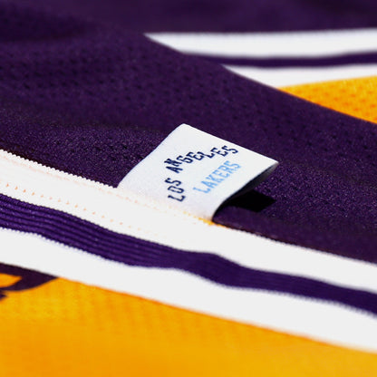 NBA Big Face Shorts 2.0 Los Angeles Lakers